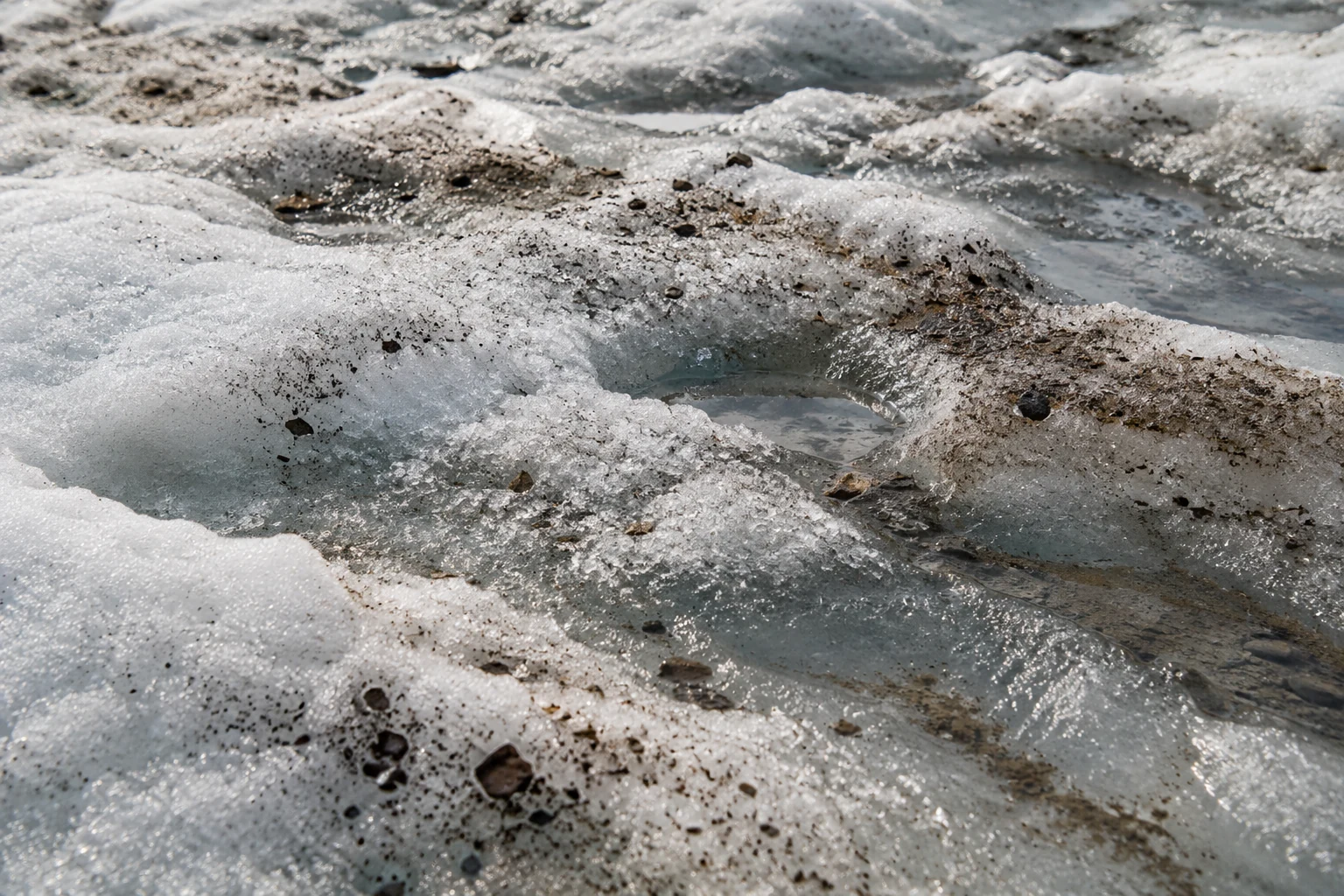 Greenland’s dark ice has more than one cause